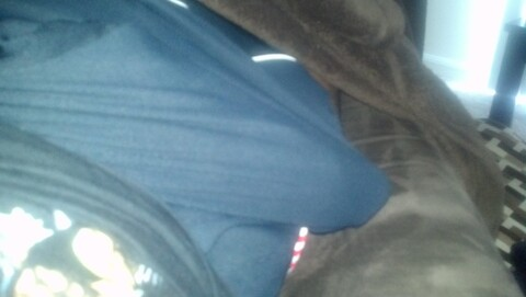 Your Favorite Carolina BBC